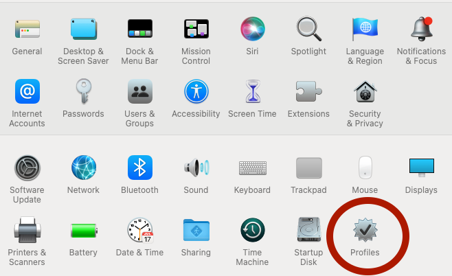 Screen Shot 2024-06-14 at 10.12.23 AM.png